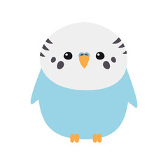 Vector flat hand drawn budgie parrot isolated on white background