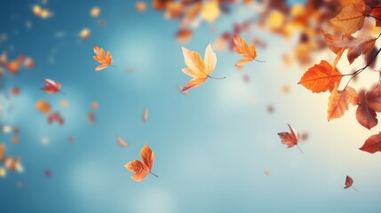 Autumn leaves on blue sky background. Fall concept