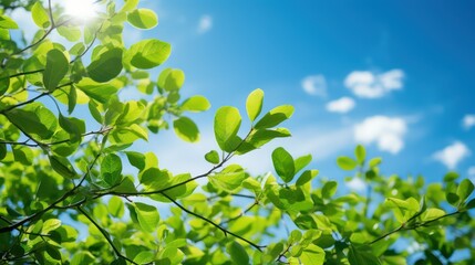 Green leaves on blue sky background. Nature background. Green leaves on blue sky