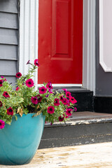 A large teal blue flower pot with multiple pink petunias growing on a step in front of a vibrant red metal door with panels. The house is grey colored with white trim. The sun is shining. 
