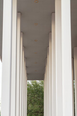 An open-air building overhang with a flat roof, and multiple rows of tall white square columns. The nontapered pedestal-style pillars support the roof. The background has lush green trees.
