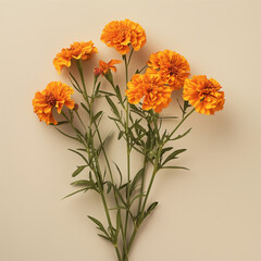 Vibrant Orange Marigold Flowers Arrangement on Earthy Background