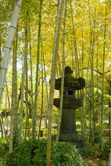 竹林と灯篭