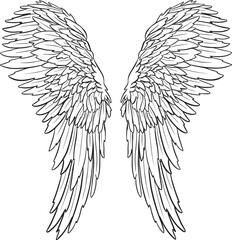 Feather Wings in the form of Angel or Dragon Illustration in Vector