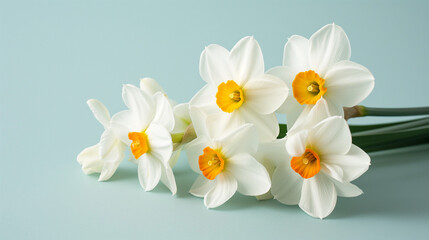 Springtime Bouquet of White Daffodils with Yellow Centers