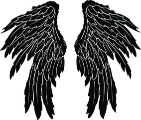 Feather Wings in the form of Angel or Dragon Illustration in Vector