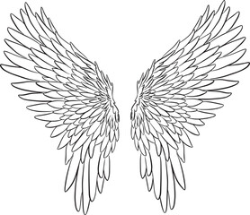 Feather Wings in the form of Angel or Dragon Illustration in Vector