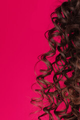 small curls, brunette, no person, pink background
