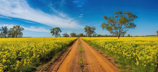 a wide shot of a field road going through a rape field with a big tree at the end. AI generated illustration - obrazy, fototapety, plakaty