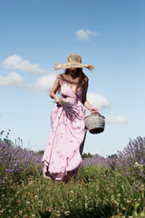 Young sexy beautiful woman in a straw hat is walking in a lavender field with a basket and a...