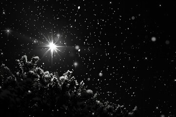 Starry Night Over Snow-Covered Pine Trees in Monochrome