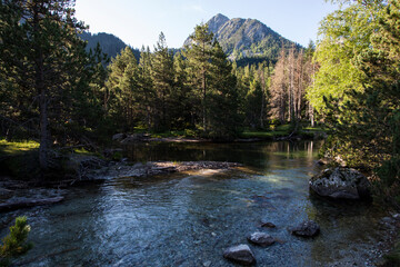 Summer landscape in Vall de Boi in Aiguestortes and Sant Maurici National Park, Spain