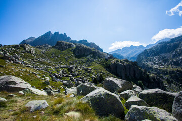 Summer landscape in Vall de Boi in Aiguestortes and Sant Maurici National Park, Spain