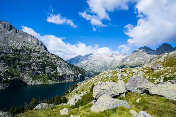 Summer landscape in Vall de Boi in Aiguestortes and Sant Maurici National Park, Spain