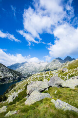 Summer landscape in Vall de Boi in Aiguestortes and Sant Maurici National Park, Spain