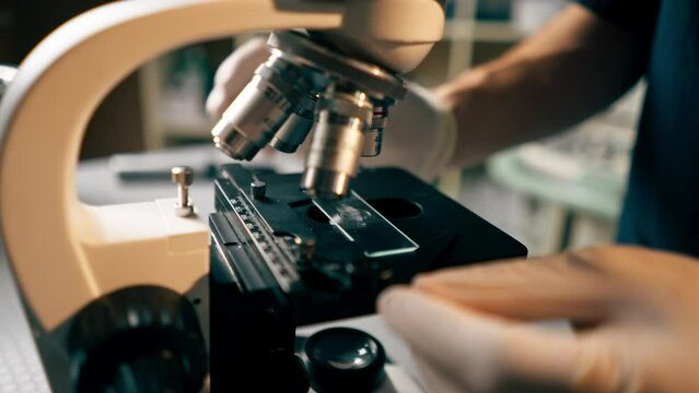 close-up in veterinary clinic the doctor puts a piece of glass under a microscope