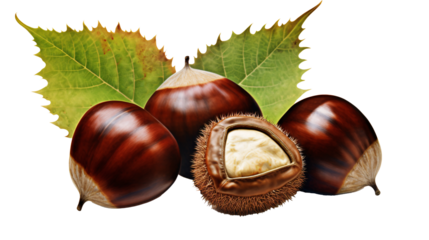 a group of chestnuts with leaves