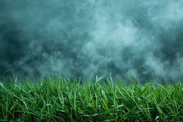 Obraz na płótnie Canvas Lush Green Grass With Mysterious Fog in the Background