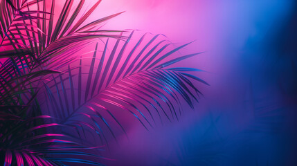 palm tree leaf against red and blue neon light background