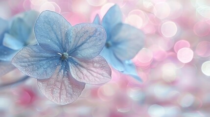  pink and blue bokeh