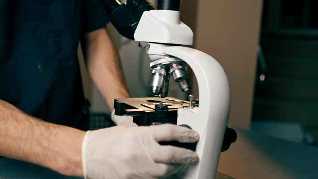 close-up in a veterinary clinic doctor adjusts the coarseness in a microscope