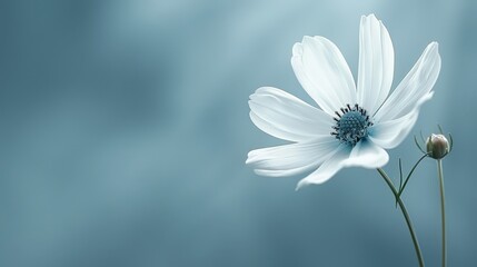   A white bloom with a blue core on a light blue canvas, softly overlaid by a hazy water scene