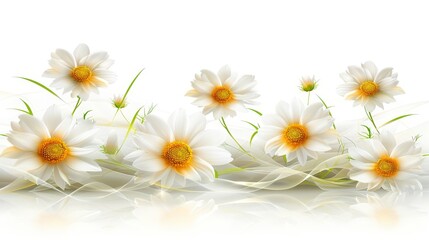 Fototapeta premium Close-up of flowers on white background with mirrored reflection below..Or, for a more descriptive version:..Intense shot of a bouquet of