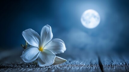   A white flower atop a wooden table Moon overhead, full and round in the night sky