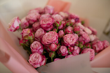 a beautiful bouquet of pink bush roses in a package, a wonderful gift for the holiday