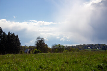 Landscape in summer with trees and meadows in bright sunshine