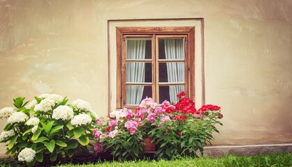 vintage window and flowers in summer