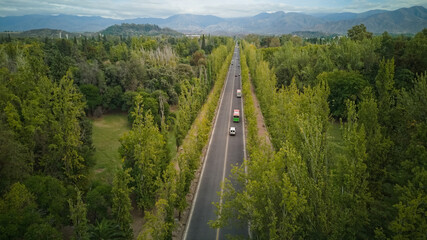 Straight road across Park San Martin, in Mendoza, Argentina. Aerial view.
