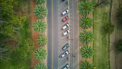 Nice boulevard flanked by palm trees in Park San Martin, in Mendoza, Argentina. Top down view.