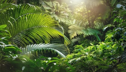 rainforest jungle lush vegetation digital art background