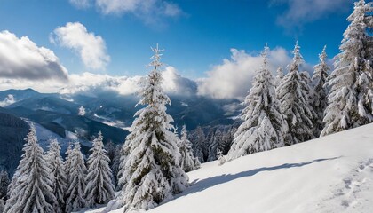 snowcovered trees on a mountain with clouds in the sky