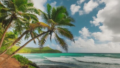 palm trees leaning over la perle beach in guadeloupe