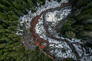 Aerial view of a forest in Mount Rainier National Park