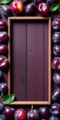 Fresh purple plum fruits on dark. Frame form with copy space, top view