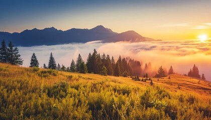 unsurpassed misty morning in the mountains during sunrise amazing nature scenery stunning alpine...