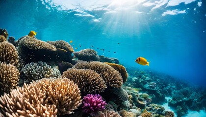 Naklejka na ściany i meble underwater exploration of a vibrant coral reefs and tropical fish ai generative