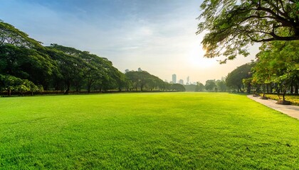 park and greenery green grass field in morning very nice morning at the park