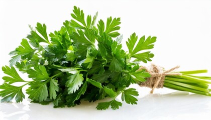 parsley herb isolated