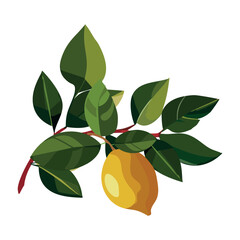 Lemon. Fruit on a branch. Citrus. Tropical plant. Vector illustration on a white background.