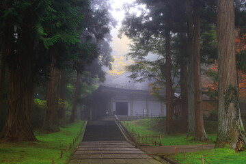 世界遺産　平泉中尊寺の紅葉