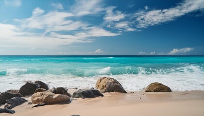 vector ocean with blue sky and sandy beach and stones