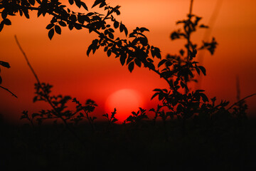 schöner Sonnenuntergang auf der Ostseeinsel Fehmarn im Frühling, Der Himmel leuchtet rot 