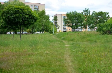 Photo taken in 2020 showing an undeveloped area and a path without a sidewalk in a housing estate...