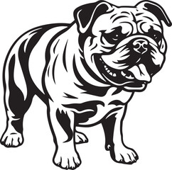 English Bulldog Standing Vector Illustration