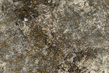 Close-up of a textured rock surface with intricate patterns of moss and lichen, showcasing a blend...