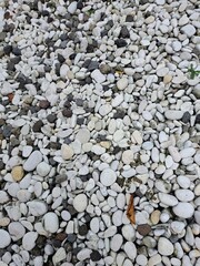 White gravel in the landscape garden